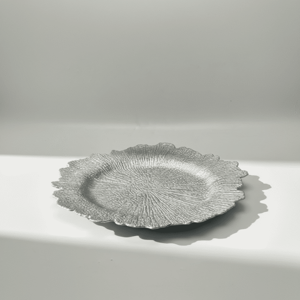 Modern Grey Serving Plastic Platter 34cm – Practical & Stylish | Mint LB