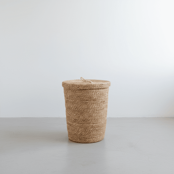 1 Storage Basket With Lid - Modern & Elegant | Mint LB