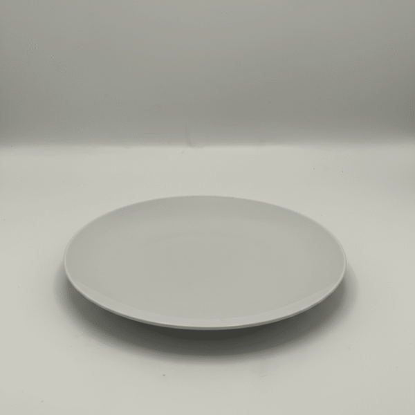 10.5 Inch Essential Dinnerware Plate – Modern & Elegant - White | Mint LB