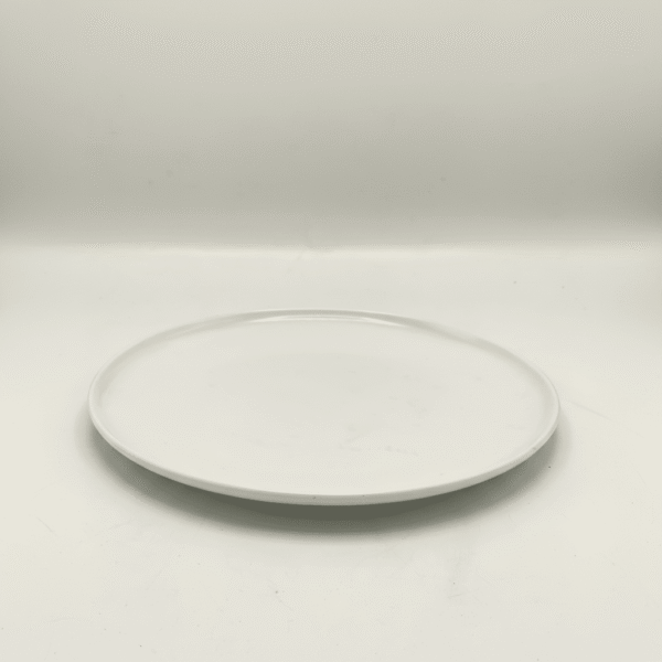 10.5 Inch Essential Dinnerware Plate - Elegant White | Mint LB