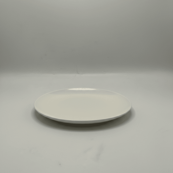 11 Inch Essential Dinnerware Plate - Elegant & Practical | Mint LB